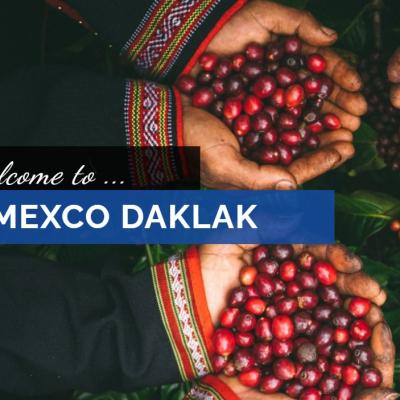 Simexco Daklak - Triển khai vùng nguyên liệu Tiêu Organic